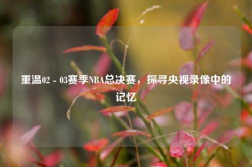 重温02 - 03赛季NBA总决赛，探寻央视录像中的记忆