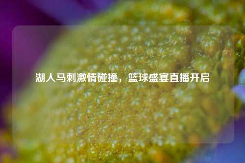湖人马刺激情碰撞，篮球盛宴直播开启