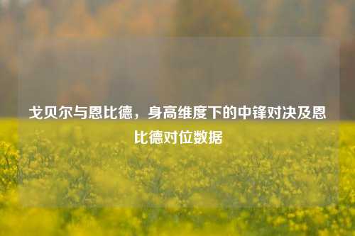 戈贝尔与恩比德，身高维度下的中锋对决及恩比德对位数据