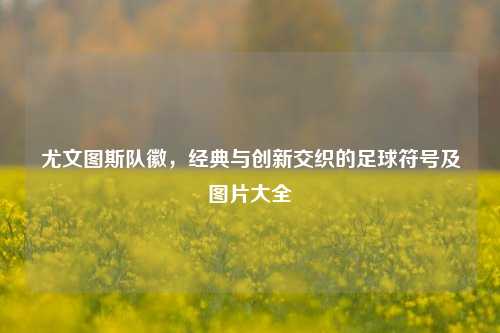 尤文图斯队徽，经典与创新交织的足球符号及图片大全