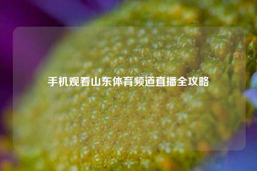手机观看山东体育频道直播全攻略
