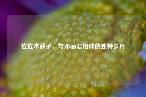 佐佐木敦子，与邓丽君相伴的独特岁月