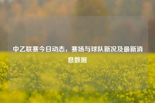 中乙联赛今日动态，赛场与球队新况及最新消息数据