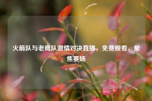 火箭队与老鹰队激情对决直播，免费观看，聚焦赛场