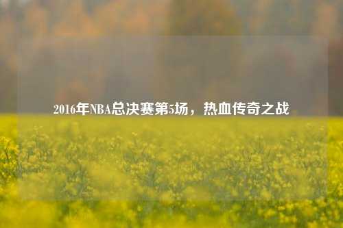 2016年NBA总决赛第5场，热血传奇之战