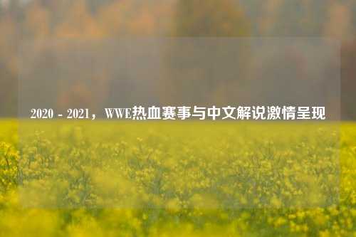 2020 - 2021，WWE热血赛事与中文解说激情呈现