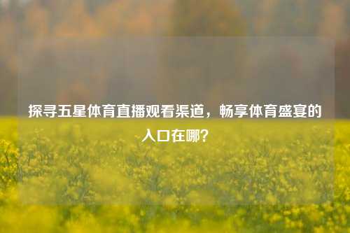 探寻五星体育直播观看渠道，畅享体育盛宴的入口在哪？
