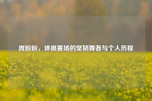 庞盼盼，体操赛场的坚韧舞者与个人历程