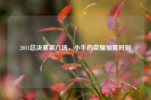 2011总决赛第六场，小牛的荣耀加冕时刻