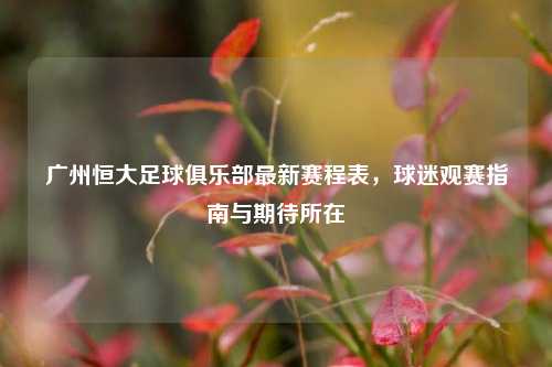 广州恒大足球俱乐部最新赛程表，球迷观赛指南与期待所在