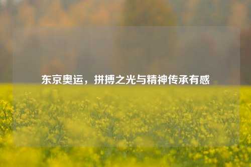 东京奥运，拼搏之光与精神传承有感