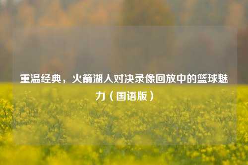 重温经典，火箭湖人对决录像回放中的篮球魅力（国语版）