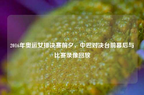 2016年奥运女排决赛前夕，中巴对决台前幕后与比赛录像回放