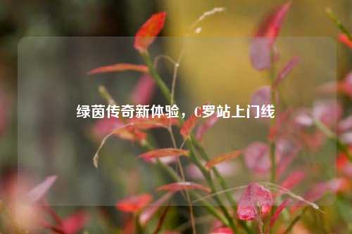 绿茵传奇新体验，C罗站上门线