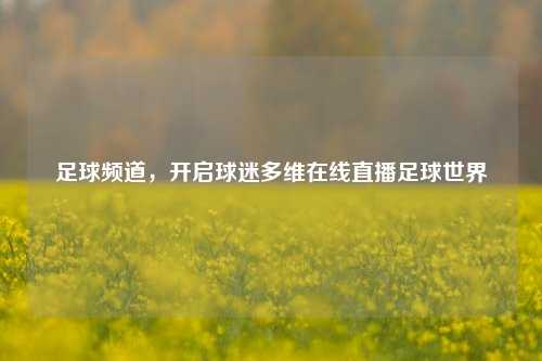 足球频道，开启球迷多维在线直播足球世界