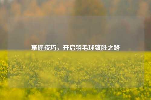 掌握技巧，开启羽毛球致胜之路