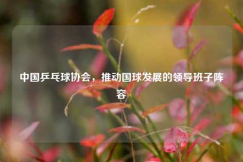 中国乒乓球协会，推动国球发展的领导班子阵容
