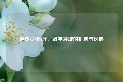 足球竞猜APP，数字领域的机遇与风险