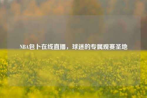 NBA包卜在线直播，球迷的专属观赛圣地