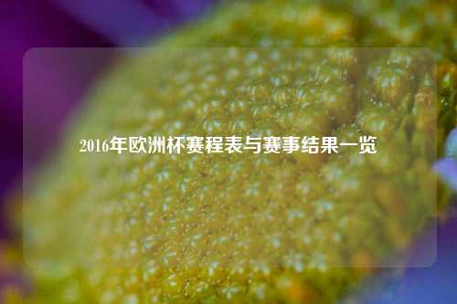 2016年欧洲杯赛程表与赛事结果一览