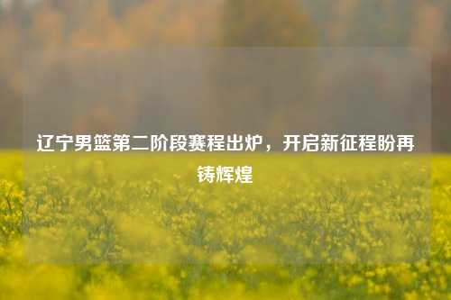 辽宁男篮第二阶段赛程出炉，开启新征程盼再铸辉煌