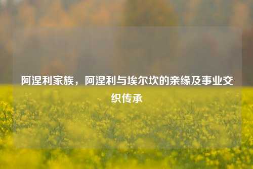 阿涅利家族，阿涅利与埃尔坎的亲缘及事业交织传承