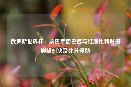 俄罗斯世界杯，桑巴军团巴西与红魔比利时的巅峰对决及比分探秘