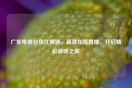广东电视台珠江频道，高清在线直播，开启精彩视听之旅