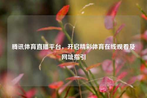 腾讯体育直播平台，开启精彩体育在线观看及网址指引