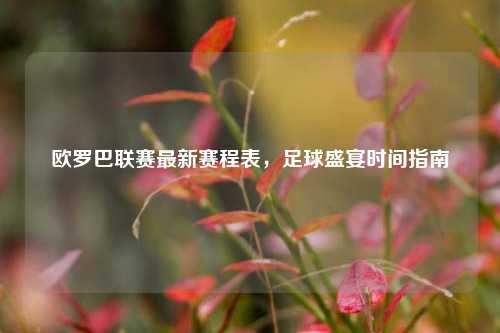 欧罗巴联赛最新赛程表，足球盛宴时间指南