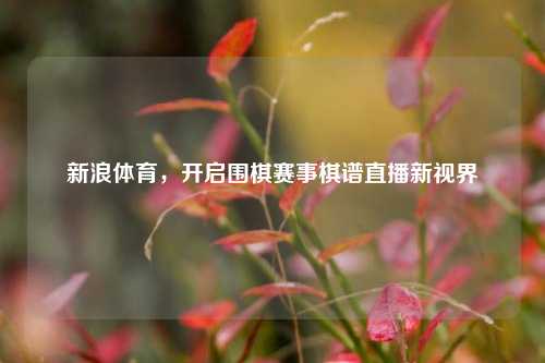 新浪体育，开启围棋赛事棋谱直播新视界