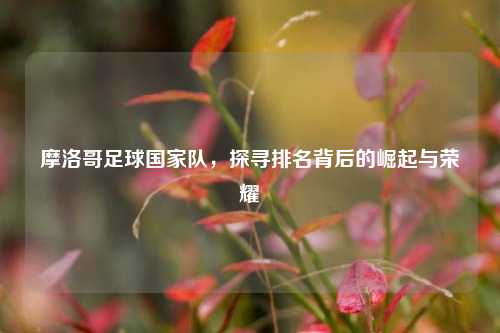 摩洛哥足球国家队，探寻排名背后的崛起与荣耀