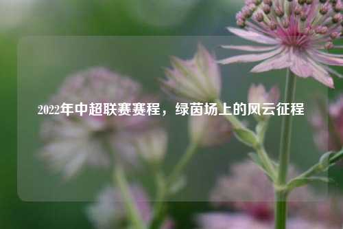 2022年中超联赛赛程，绿茵场上的风云征程