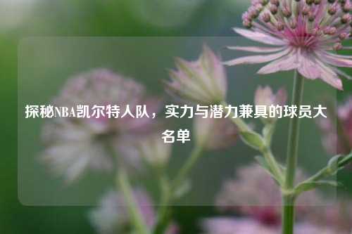 探秘NBA凯尔特人队，实力与潜力兼具的球员大名单