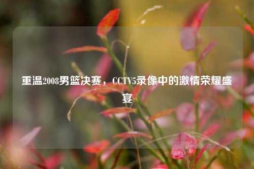 重温2008男篮决赛，CCTV5录像中的激情荣耀盛宴