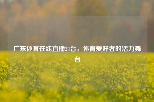 广东体育在线直播24台，体育爱好者的活力舞台