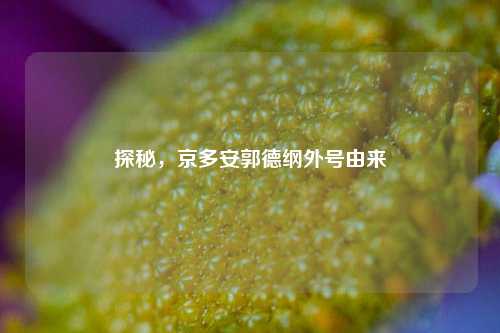 探秘，京多安郭德纲外号由来
