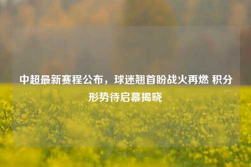 中超最新赛程公布，球迷翘首盼战火再燃 积分形势待启幕揭晓