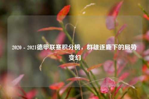 2020 - 2021德甲联赛积分榜，群雄逐鹿下的局势变幻