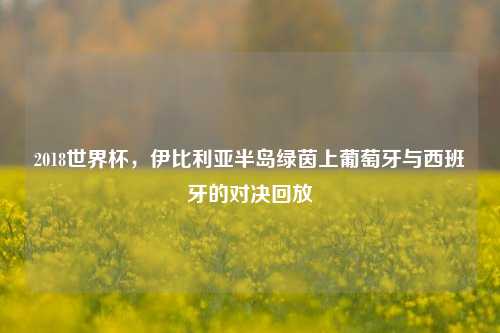 2018世界杯，伊比利亚半岛绿茵上葡萄牙与西班牙的对决回放