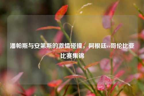 潘帕斯与安第斯的激情碰撞，阿根廷vs哥伦比亚比赛集锦