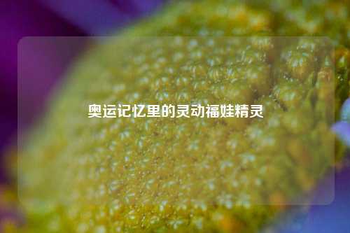 奥运记忆里的灵动福娃精灵