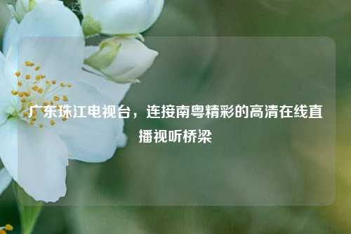 广东珠江电视台，连接南粤精彩的高清在线直播视听桥梁