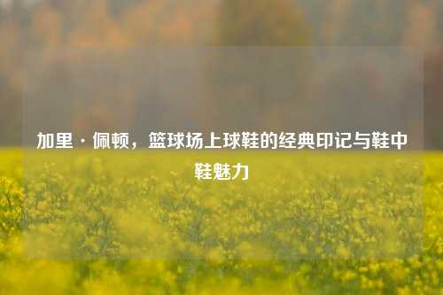 加里·佩顿，篮球场上球鞋的经典印记与鞋中鞋魅力