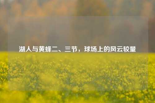 湖人与黄蜂二、三节，球场上的风云较量