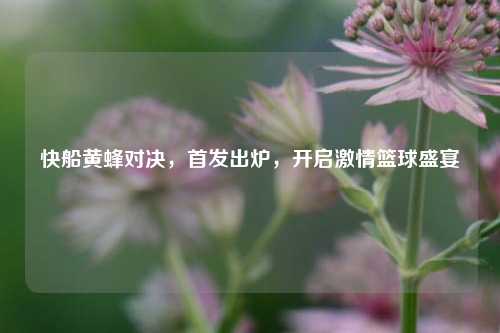 快船黄蜂对决，首发出炉，开启激情篮球盛宴