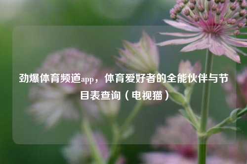 劲爆体育频道app，体育爱好者的全能伙伴与节目表查询（电视猫）