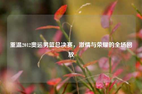 重温2012奥运男篮总决赛，激情与荣耀的全场回放
