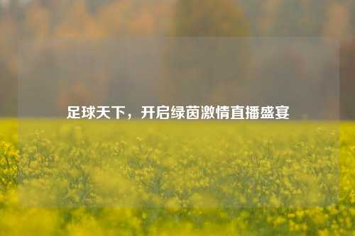 足球天下，开启绿茵激情直播盛宴