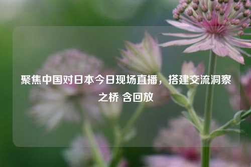 聚焦中国对日本今日现场直播，搭建交流洞察之桥 含回放